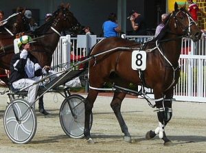 Delightful Memphis, is as good as she's been all season, according to trainer Mark Jones, going into the $150,000 Harness Jewels 2YO Diamond on Saturday.
