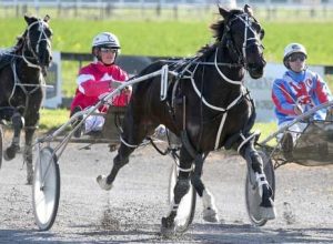 Royally-bred Glenferrie Classic (Sam Ottley) scores her maiden victory at Waterlea on Friday. (Race Images photo).